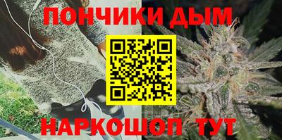 крисы Братск