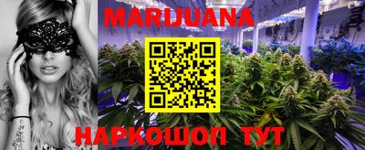 крисы Братск