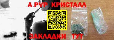 крисы Братск