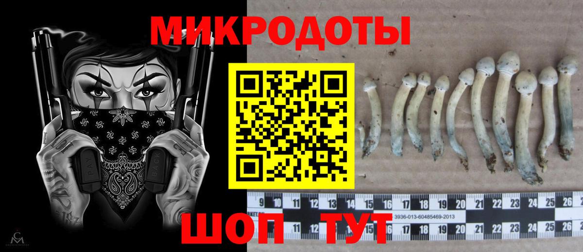 Галлюциногенные грибы MAGIC MUSHROOMS  Псилоцибиновые грибы Psilocybine cubensis  Калининград  Вход с VPN 